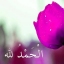 Safi